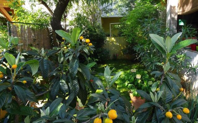 Apartments Down Town