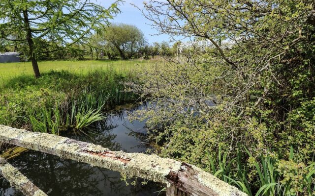 Lakelands, Burry Port