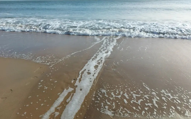 Sea La Vie in Bournemouth