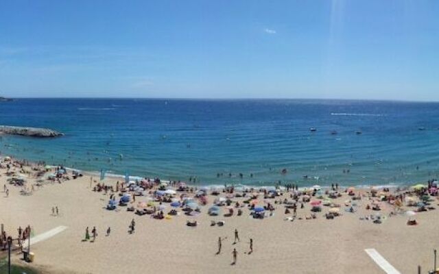Rosa dels Vents
