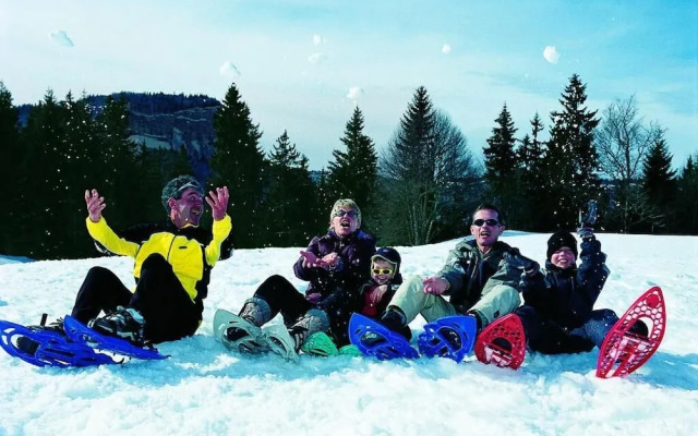 VVF Villages Premanon