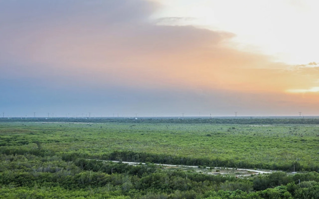 Distrito Puerto - Ocean & Mangrove Views