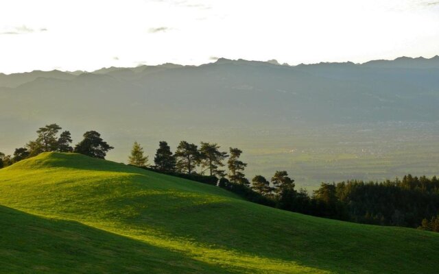 Kulturfrachter Alpenhof