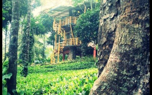Jungle Jive Treehouse