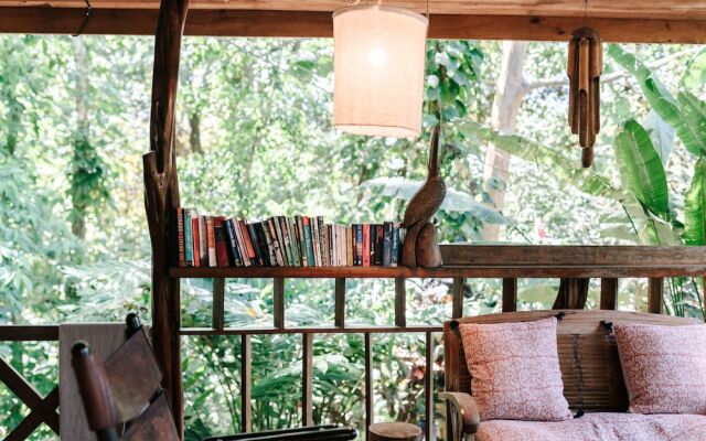 Star Mountain Jungle Lodge