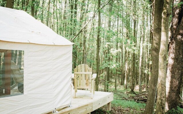 Tentrr â Hollow Tree Camp