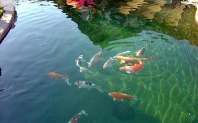 Hotel Restaurant Koi-Gartenteich