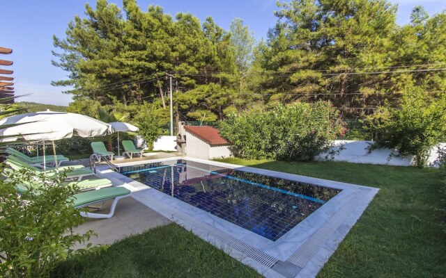 Villa Citrus by Tatilpremium