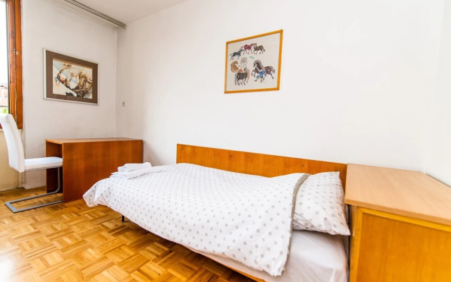 Cozy, Spacious & Sunny in Heart of City Center