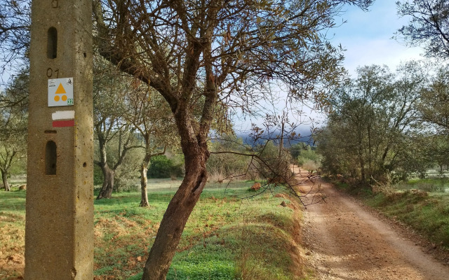 B&B Entrecolinas