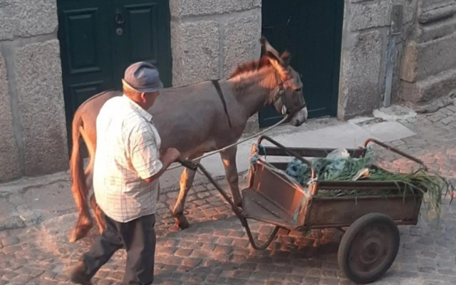 Anibals Boutique Lodging - Serra da Estrela