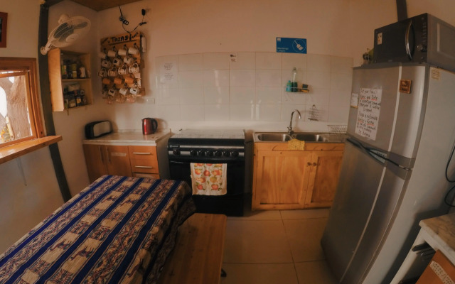Rey Lagarto Hostel
