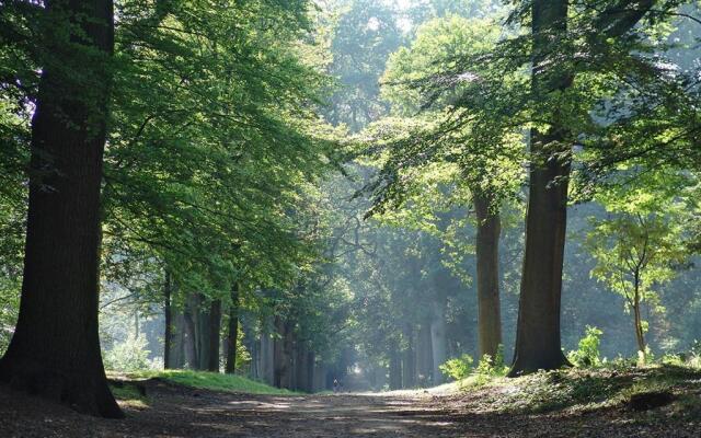 Luxe Safaritent Medley 5 persoons op Camping Rijsterbos