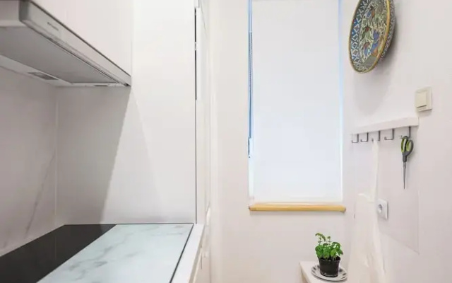 Iadra apartment in city center