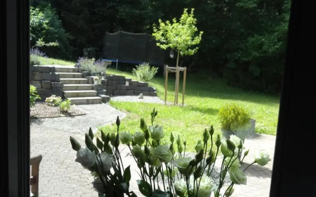 Stadt und Wald