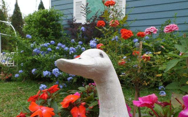 Baan JaoKorKluay บ้านเจ้ากอกล้วย