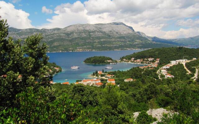 Apartmans and Rooms Dunjini Dvori