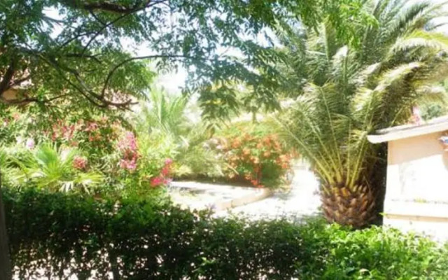 Les Oliviers de Virgina