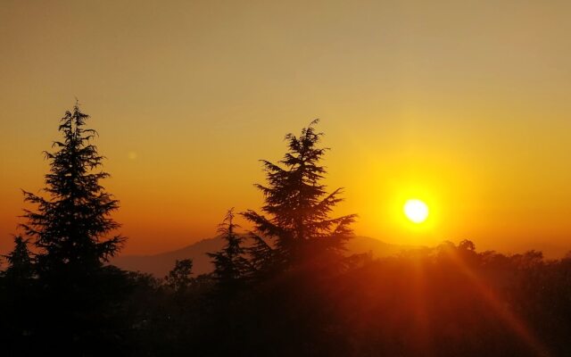 The Bunker Hostel - Dharamkot