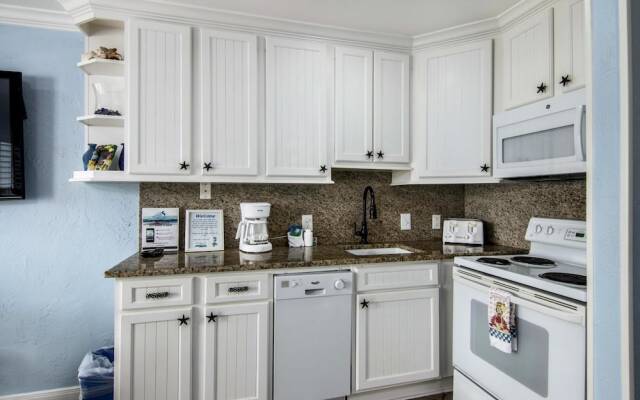 Seascape 1320 - Sea Turtle Nest