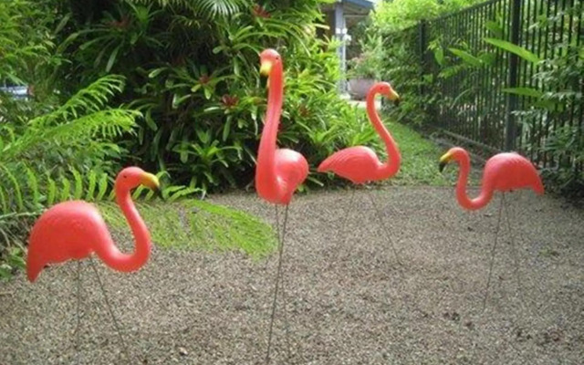 Pink Flamingo Resort