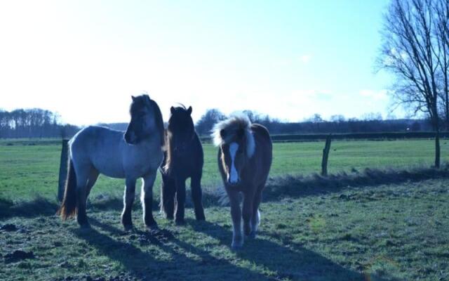 Camping-Aller-Leine-Tal
