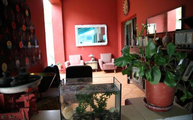 Trip'n'Hostel