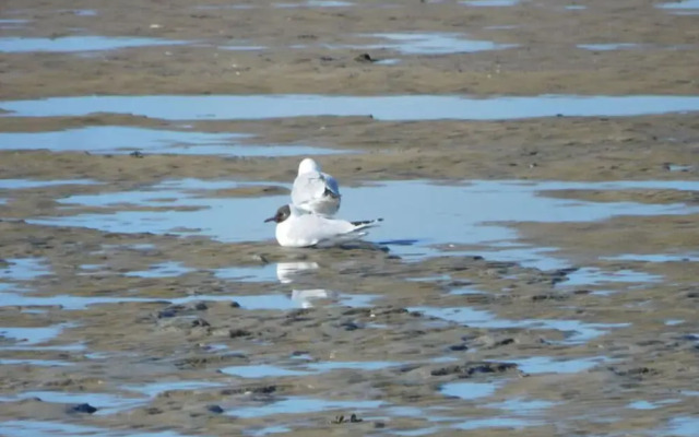 Holiday Apartment Wattblick