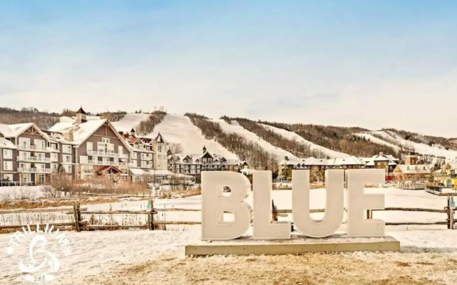 Steps to the Hill 1 Bedroom Wifi Crave TV