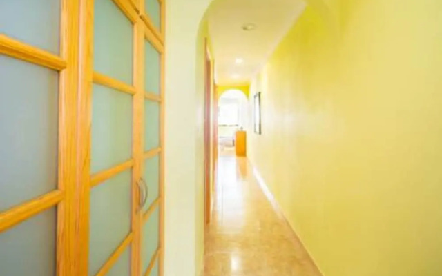 Sea Stars Las Canteras