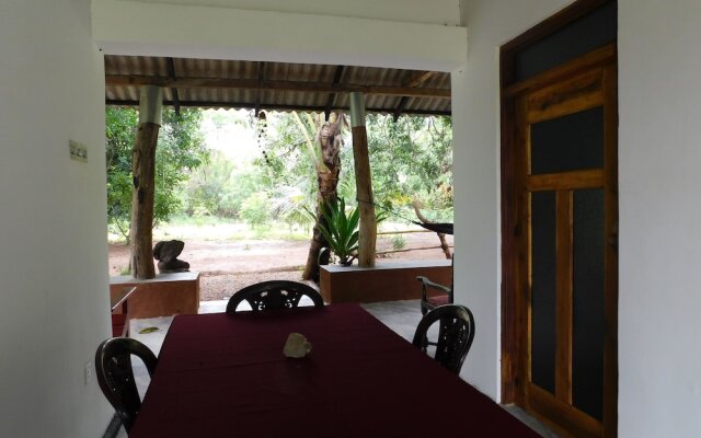 Yala Avian Eye Safari