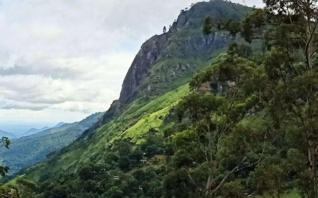 Ella View Hotel