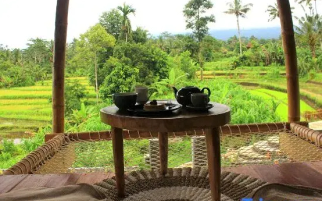Wiwaka Bamboo House