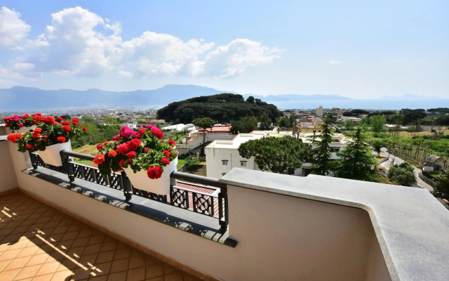 Palazzo Rosenthal Vesuview