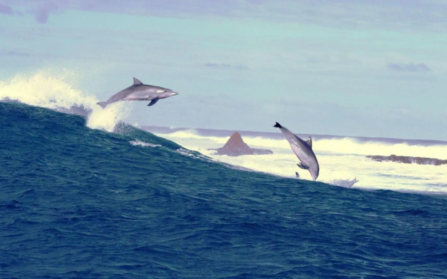 Apt 42 Riverview Holiday Apartments