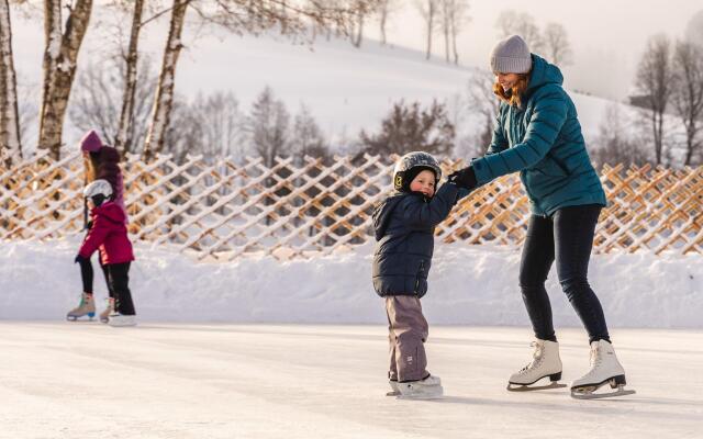 Apartment in Saalfelden Near Ski Slopes