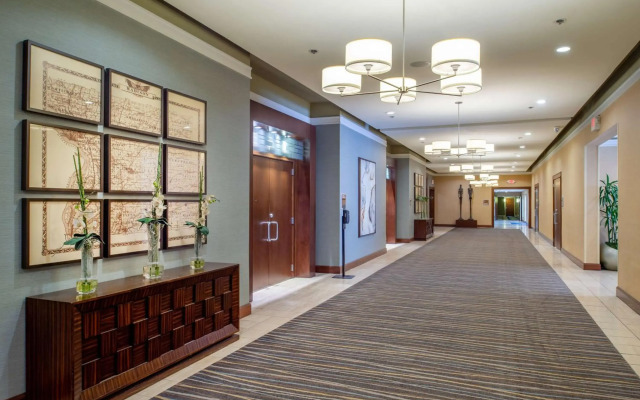 DoubleTree by Hilton Collinsville - St. Louis