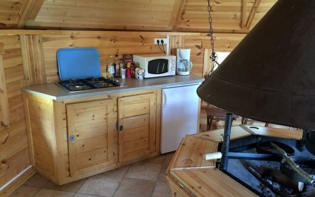 Voler Avec les Oiseaux