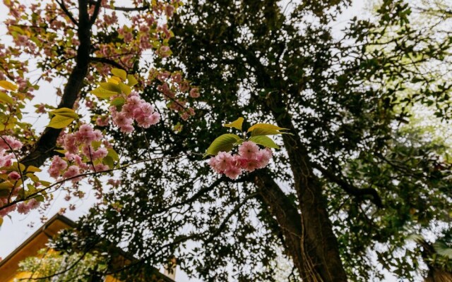 Casa Ambrosini - Atena by Wonderful Italy