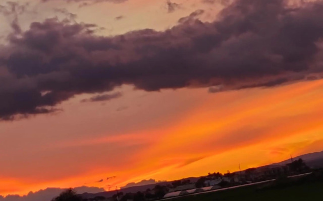 Palm garden paradise