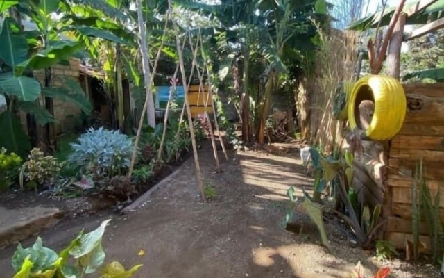 Banana shade hostel