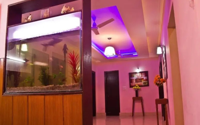 Krishna Coddle Executive