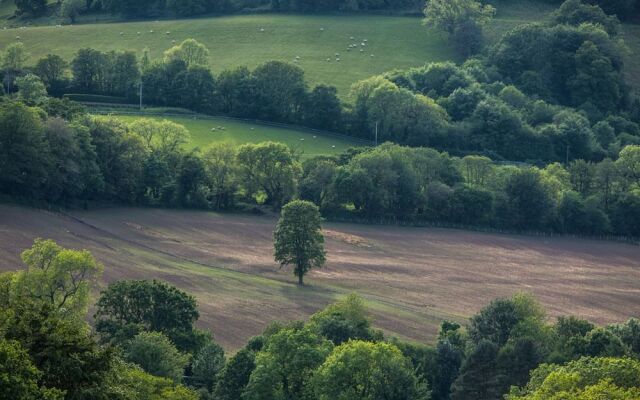 Hardwick Farm