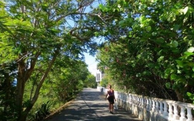 Water Island Hotel  Villas