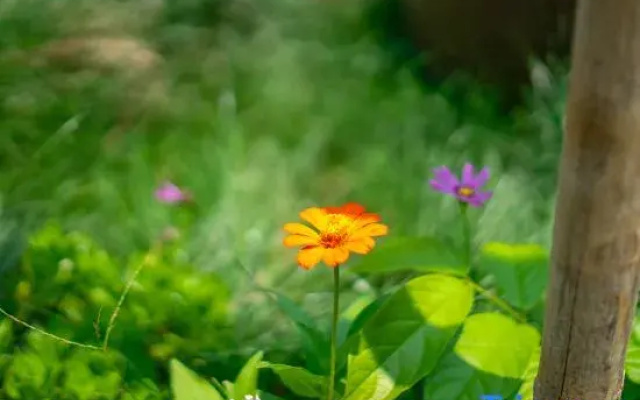 Weizhoudao Yishiguang Homestay