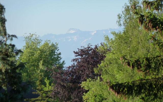 Silvaner-Laube Silvanerlaube B