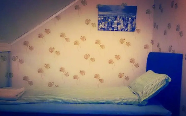 Fjord Panorama with its 222 Peaks