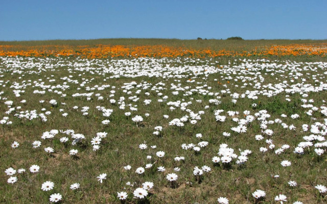 Thali Thali Game Lodge
