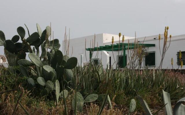 Lanzarote Nature
