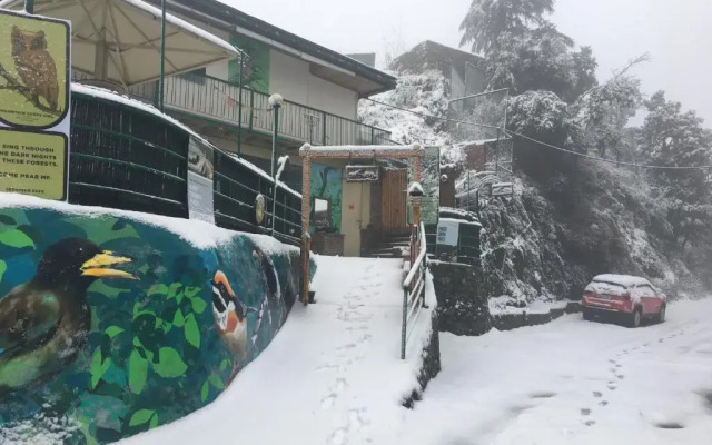 Seegreen Lodges